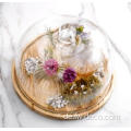 Glas Cloche Bell Jar Display Dome Cover